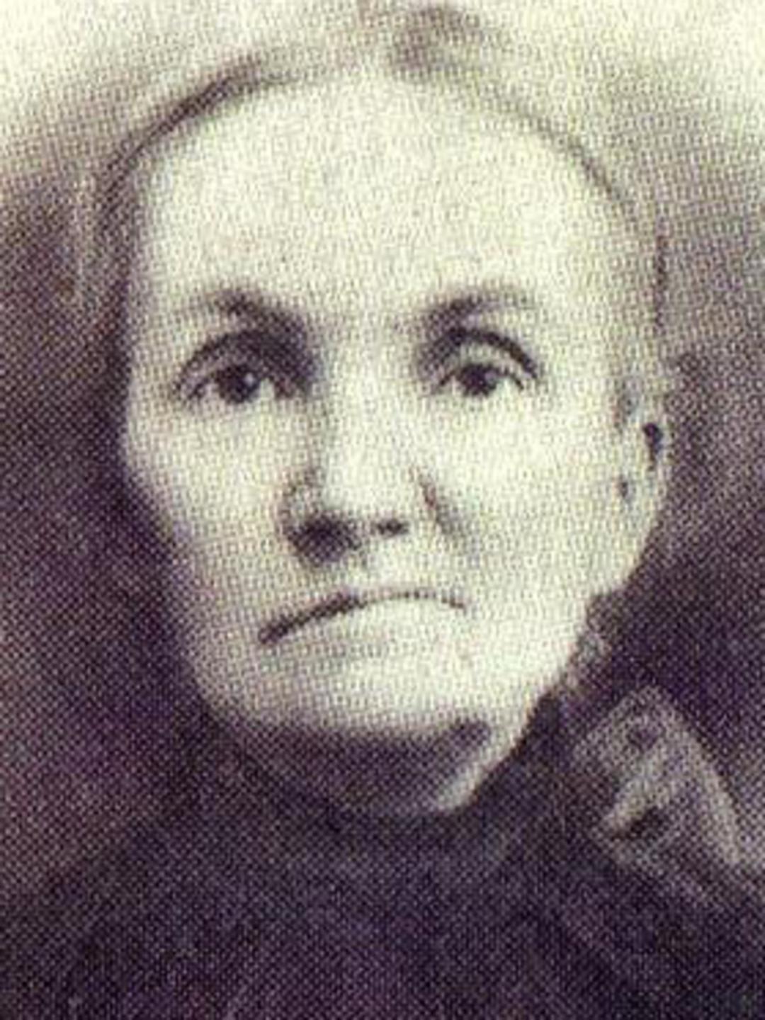 Sarah Hurren (1854 - 1948) Profile